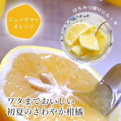 先行予約＜訳あり 愛媛県産 ニューサマーオレンジ 合計約2kg＞ 『2027年4月～5月に順次出荷予定』日向夏 小夏 ご家庭用 ご自宅 蜜柑 果肉 果物 柑橘 フルーツ オレンジ 国産 濃厚 果汁 産地直送 ミヤモトオレンジガーデン 愛媛県 西予市【常温】ONM0026