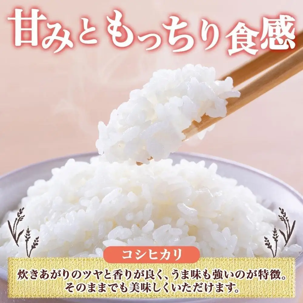 【2026年10月発送】令和8年産 コシヒカリ 白米 5kg×1袋 長野県産 米 精米 お米 ごはん ライス 甘み 農家直送 産直 信州 人気 ギフト お取り寄せ 平林農園 送料無料 長野県 大町市