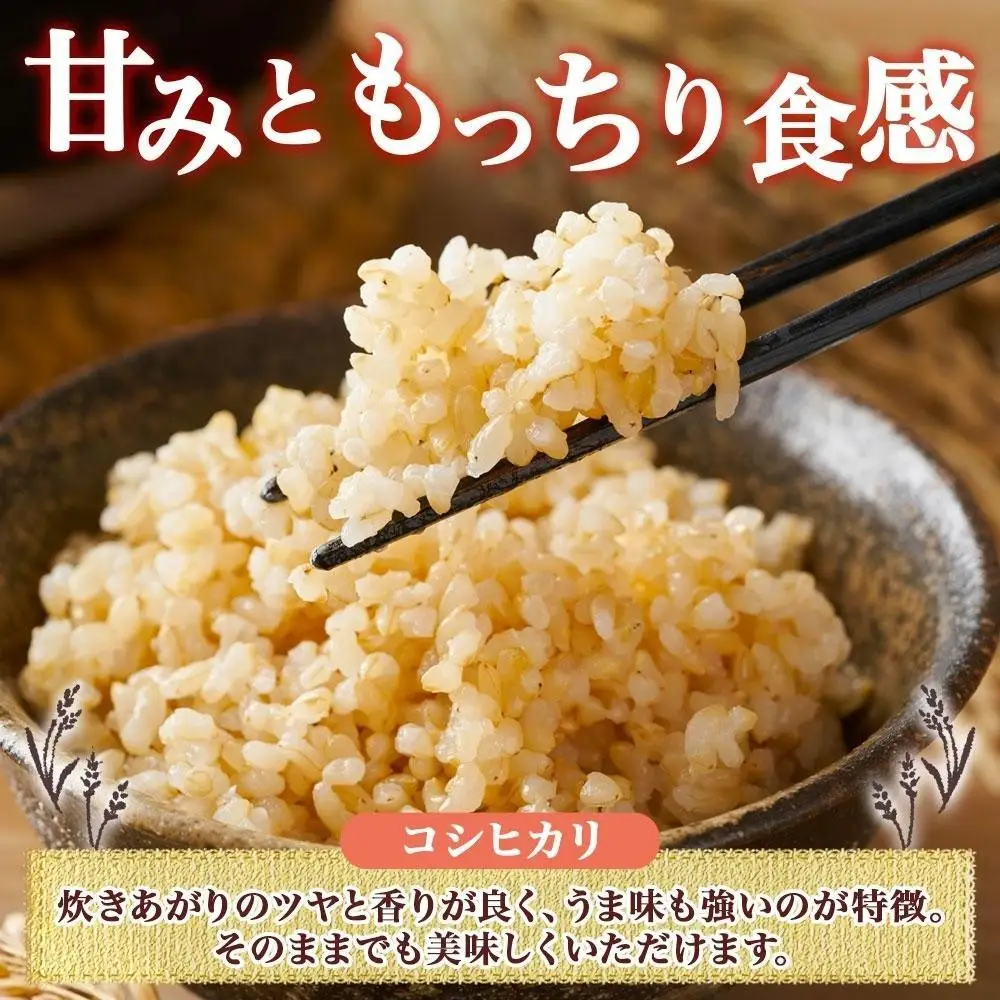 【2026年10月発送】令和8年産 コシヒカリ 玄米 10kg×1袋 長野県産 米 お米 ごはん ライス 低GI 甘み 農家直送 産直 信州 人気 ギフト お取り寄せ 平林農園 送料無料 長野県 大町市