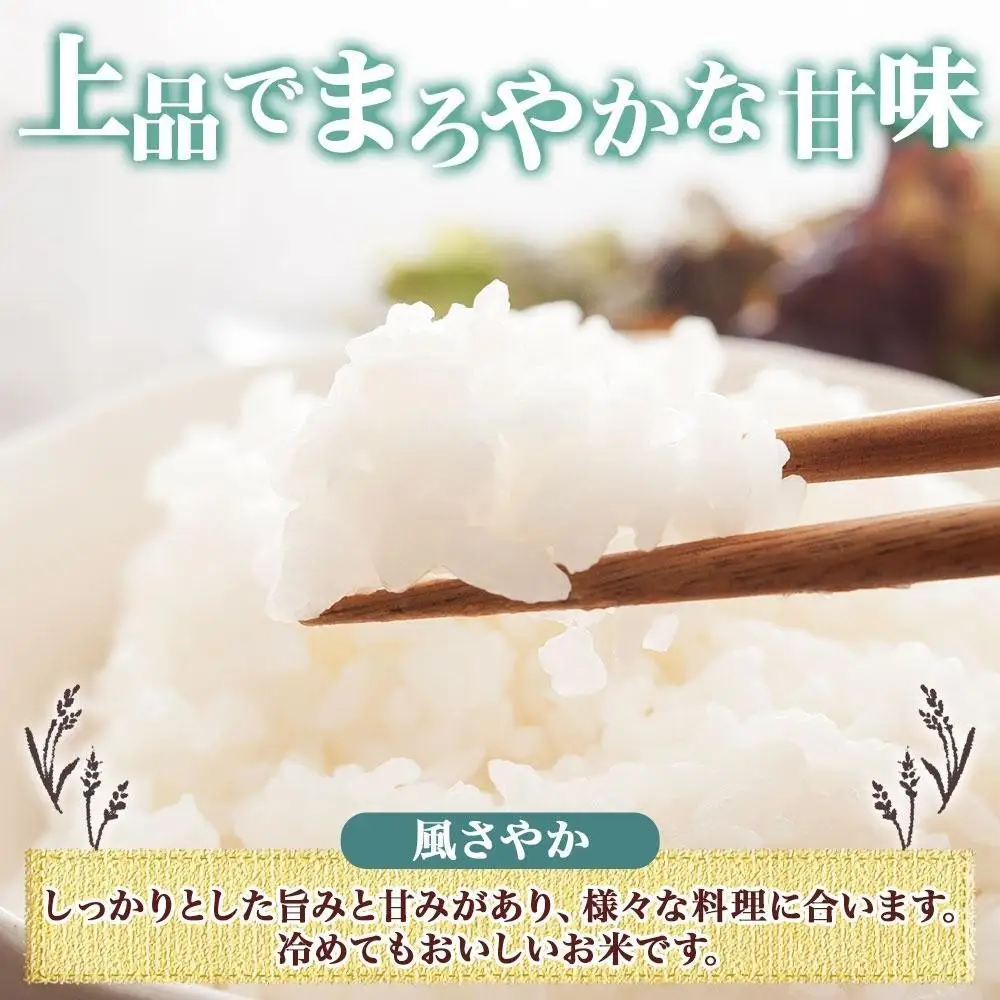 【2026年10月発送】令和8年産 風さやか 無洗米 10kg×1袋 長野県産 米 白米 精米 お米 ごはん ライス 甘み 農家直送 産直 信州 人気 ギフト 時短 お取り寄せ 平林農園 送料無料 長野県 大町市