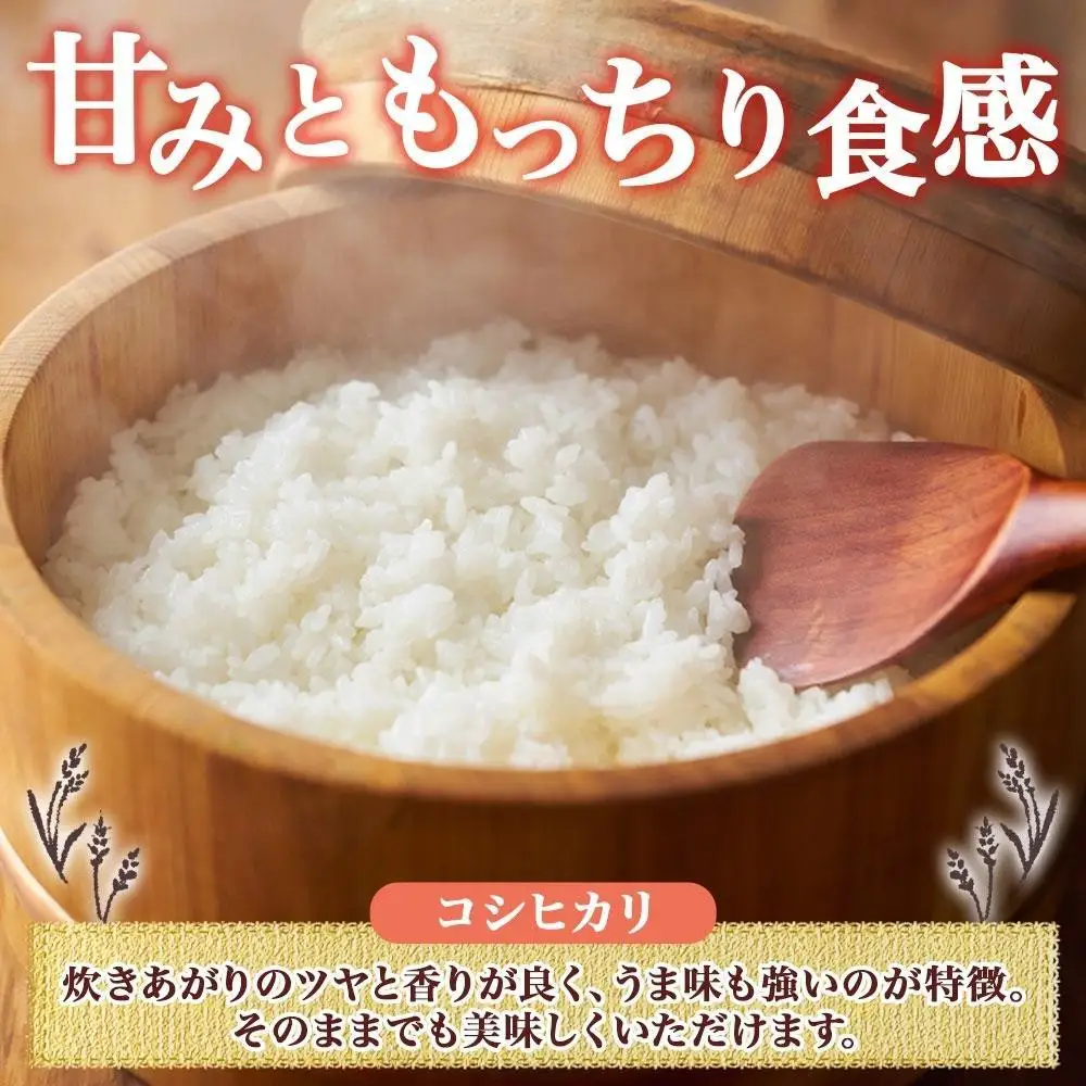 【2026年10月発送】令和8年産 コシヒカリ 風さやか 無洗米 各5kg 長野県産 米 白米 精米 お米 ごはん ライス 甘み 農家直送 産直 信州 人気 ギフト 時短 お取り寄せ 平林農園 送料無料 長野県 大町市