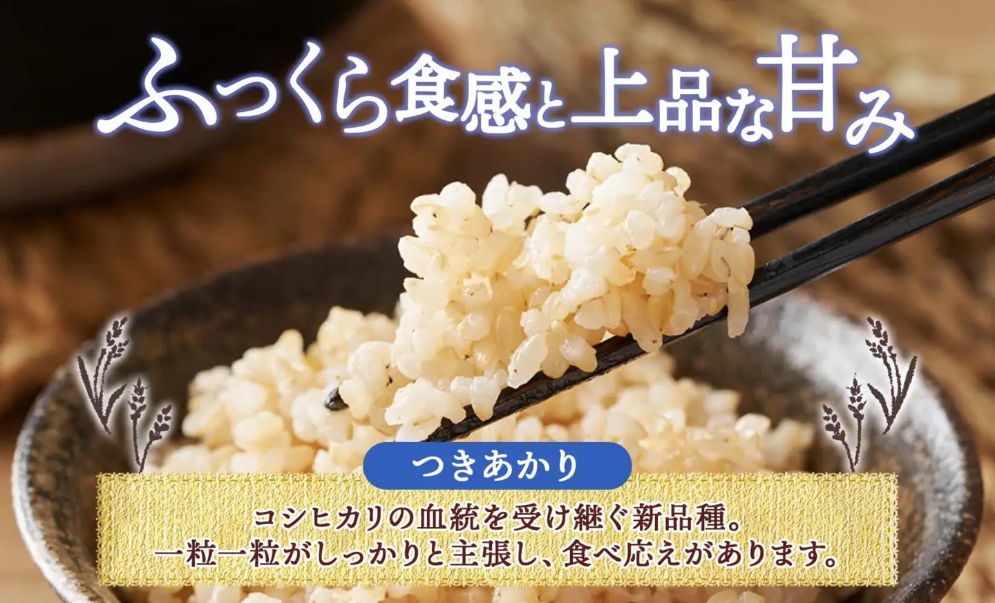 【2026年10月発送】令和8年産 つきあかり 玄米 10kg×1袋 長野県産 米 精米 お米 ごはん ライス 甘み 農家直送 産直 信州 人気 ギフト お取り寄せ 平林農園 送料無料 長野県 大町市