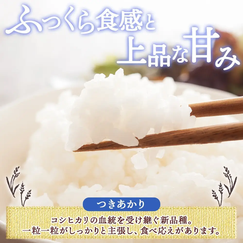 【2026年10月発送】令和8年産 つきあかり 無洗米 5kg×1袋 長野県産 米 精米 お米 ごはん ライス 甘み 農家直送 産直 信州 人気 ギフト お取り寄せ 平林農園 送料無料 長野県 大町市