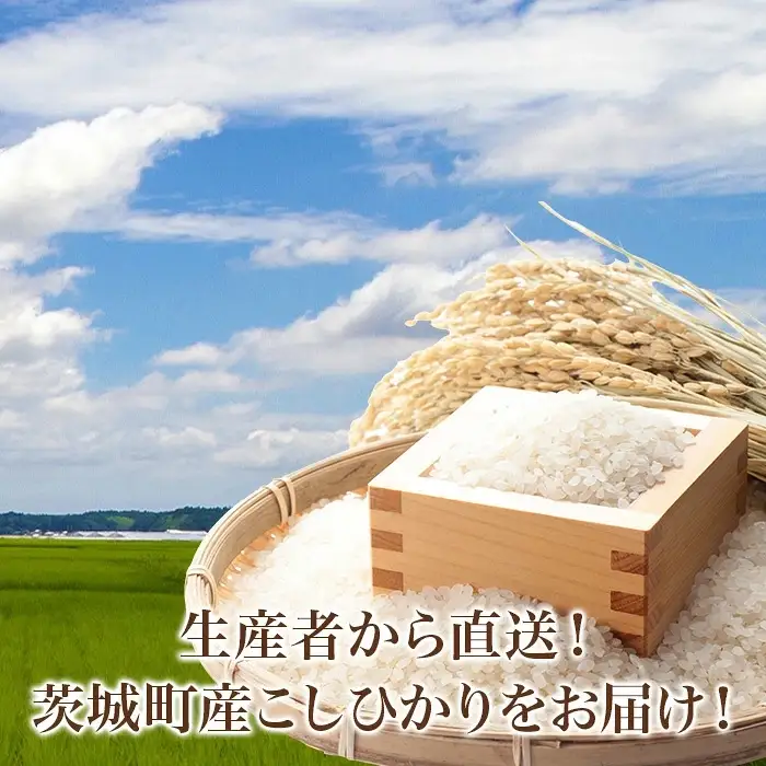 782 茨城県産 こしひかり 特別栽培米 10kg (5kg×2袋) 令和8年産 精米【米農家もろちゃん】