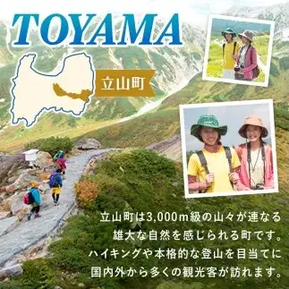 立山町 宿泊施設 宿泊券 90,000円分 宿泊チケット 宿泊 宿 山小屋 山荘 ホテル 旅 旅行 観光 レジャー チケット 登山 トレッキング アルペンルート 山岳観光 立山観光 F6T-1074