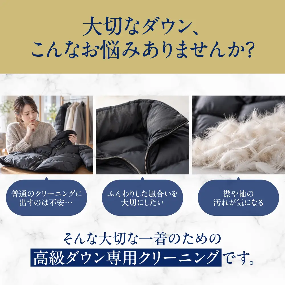 【春お届け】【最大1年間保管付！】高級ダウンクリーニング(2点)