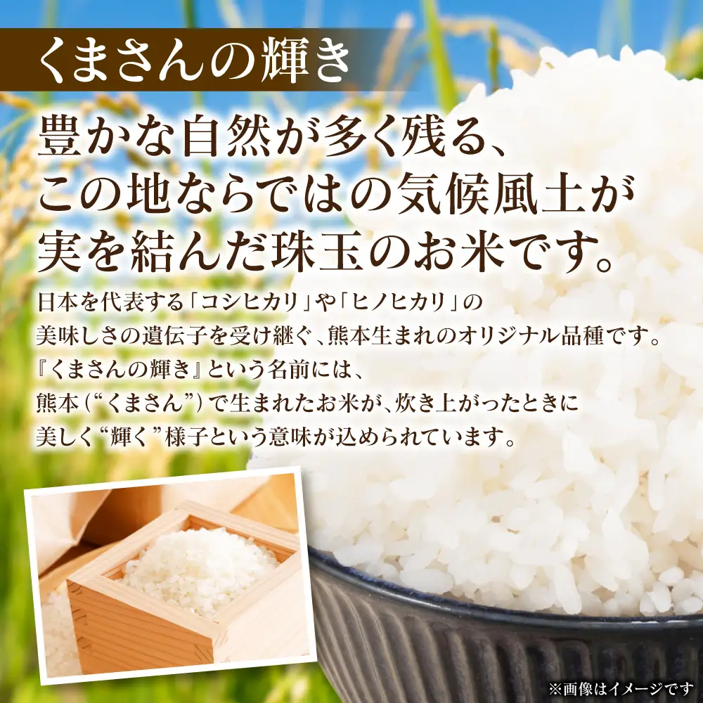 精米 《令和7年産》 くまさんの輝き 5kg×1袋  精米