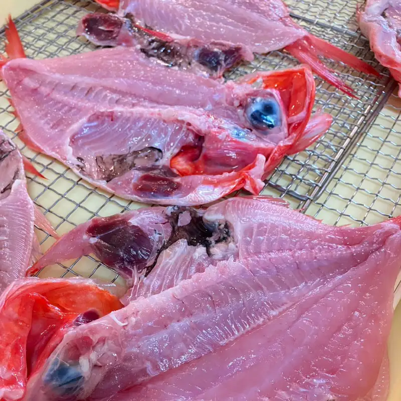 干物 漬魚 詰め合わせ 6枚 ひもの 干物