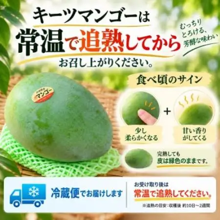 【2027年8月中旬から順次発送・家庭用】幻のキーツマンゴー約2kg(2玉～3玉)【配送不可地域：離島】【1783989】