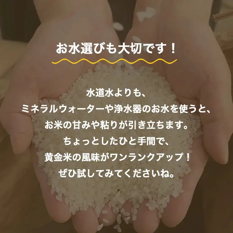 R8年米 大江の黄金米 コシヒカリ20kg（5kg×4） ｜ 射水市 西尾農業 黄金米 射水の美味しいお米 精米