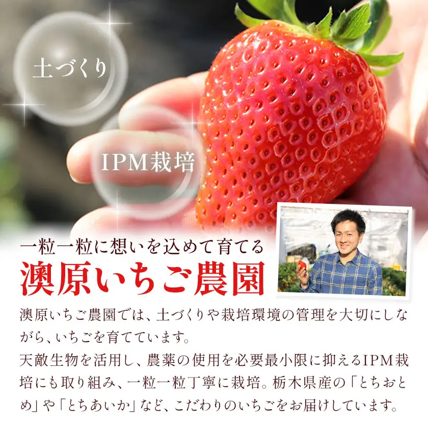 ミルキーベリー 約280g 2パック 計560g 澳原いちご農園