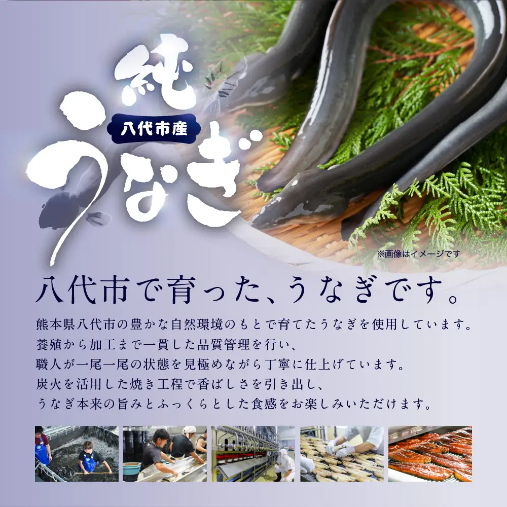 鰻 うなぎ蒲焼2尾セット（150g×2尾）合計300g　たれ・山椒付き 鰻
