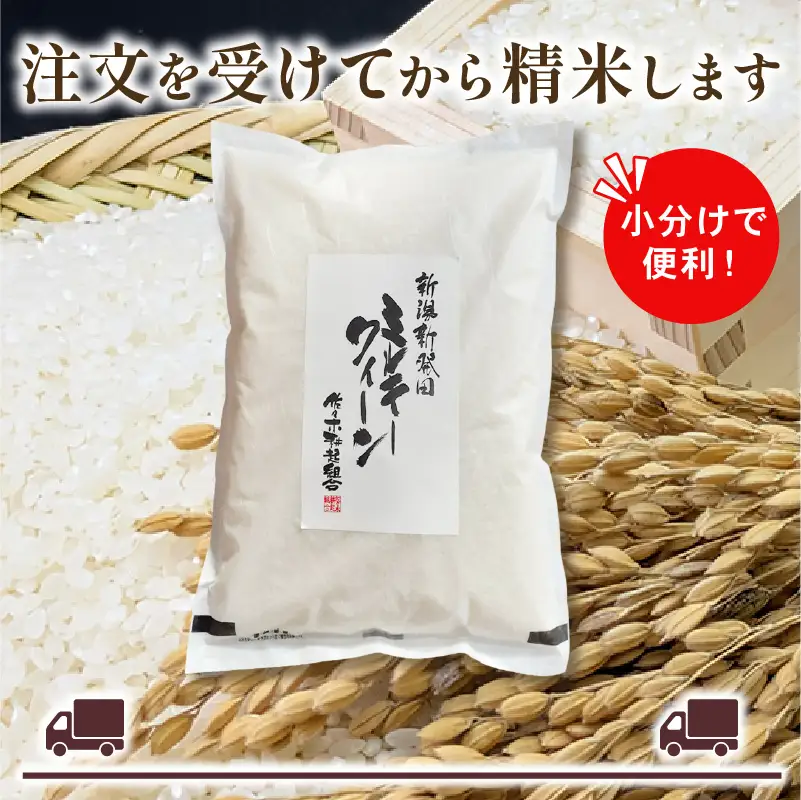 【新米 定期便】 令和8年産 新潟県産 ミルキークイーン 2kg × 12ヶ月 米 お米 ごはん 白米 佐々木耕起組合 プレゼント ギフト 贈答 定期便 特別栽培米 佐々木耕起 佐々木こうき 新潟県新発田市産 ssk018