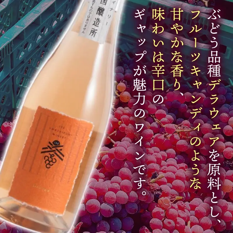 ワイン オレンジワイン 伊勢 美し国オレンジ2025 ワイン お酒 三重県 伊勢志摩 