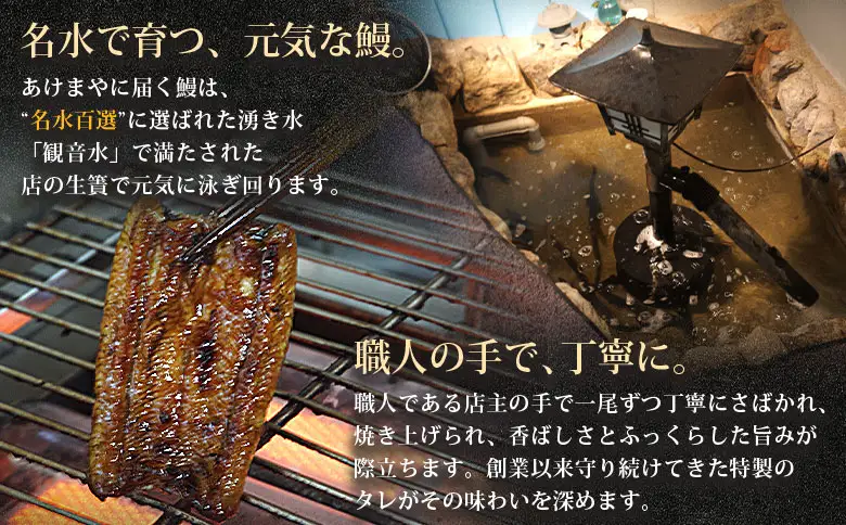 ＜あけまやのうなぎ茶漬け 1個セット＞『10営業日以内に発送予定』タレ 番茶 真空パック 鰻 ウナギ 手焼き 名水百選 湧水 鰻茶漬け お茶漬け ご飯 ごはん ご飯のお供 蒲焼き ひつまぶし グルメ 国産 愛媛県 西予市【冷蔵】UUA0001