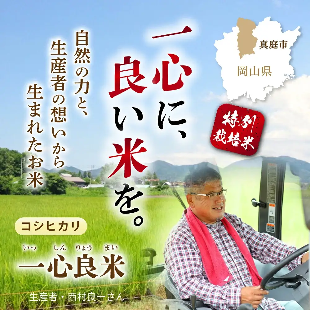 ＜全3回定期便＞ 真庭市産コシヒカリ 米ぬか 牡蠣栽培米 『 一心良米 』 玄米 10kg (5kg×2袋）×3回 令和8年産 / お米 いっしんりょうまい 岡山県 こしひかり 人気 ブランド 2026年産 【tkns-tkb052】