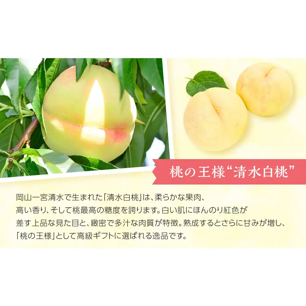 岡山県産　清水白桃缶詰２缶