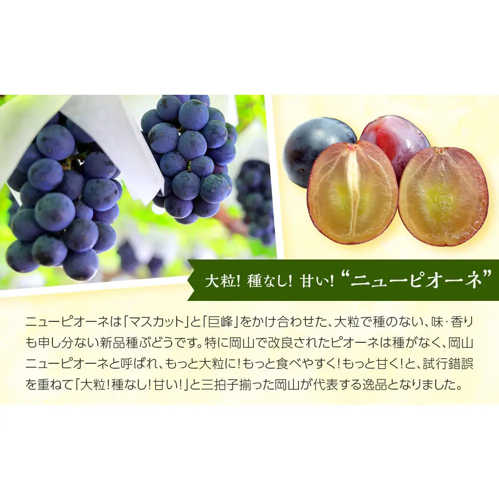 ニューピオーネ缶詰２缶【岡山県産】