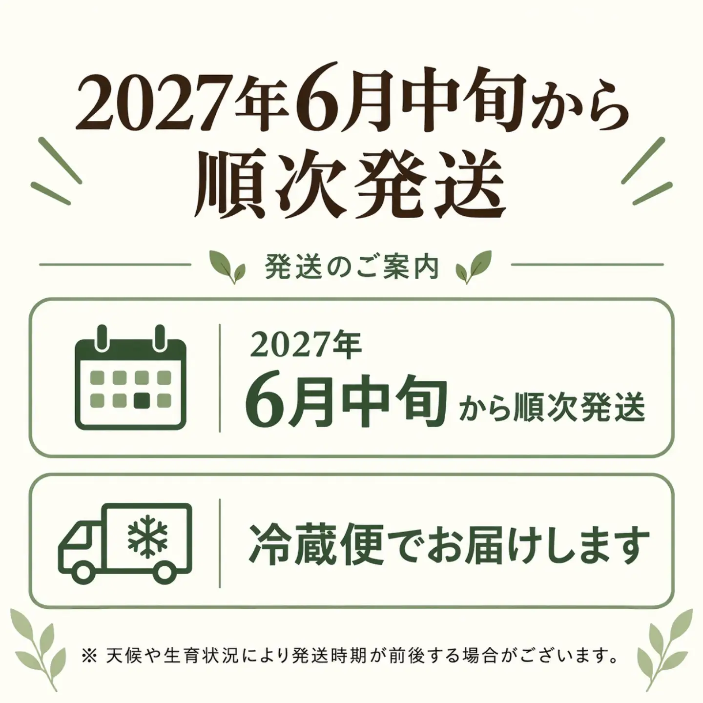 【2027年発送】山梨県産 ヤングコーン　とうもろこし 50本入｜とうもろこし