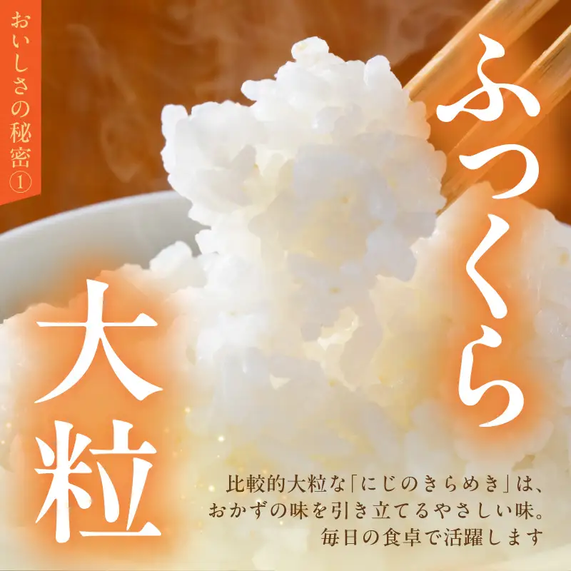 令和8年産 泉佐野産 にじのきらめき 5kg