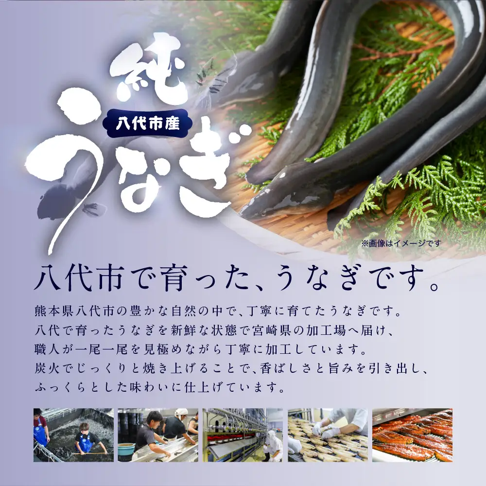 鰻 うなぎ蒲焼3尾セット（200g×3尾）合計600g たれ・山椒付き 鰻