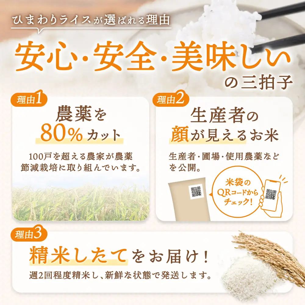 令和8年産 食べ比べ 少量 セット 1.2kg (300g×4種) / ゆめぴりか ななつぼし おぼろづき きたくりん【sun400-set-all-r0d9-R8】