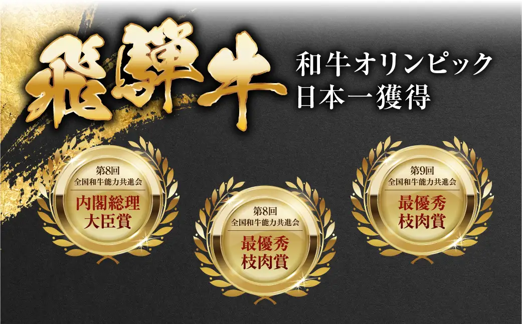 飛騨牛 シャトーブリアン 牛肉 150g×20枚 牛肉 ステーキ トキノ屋食品