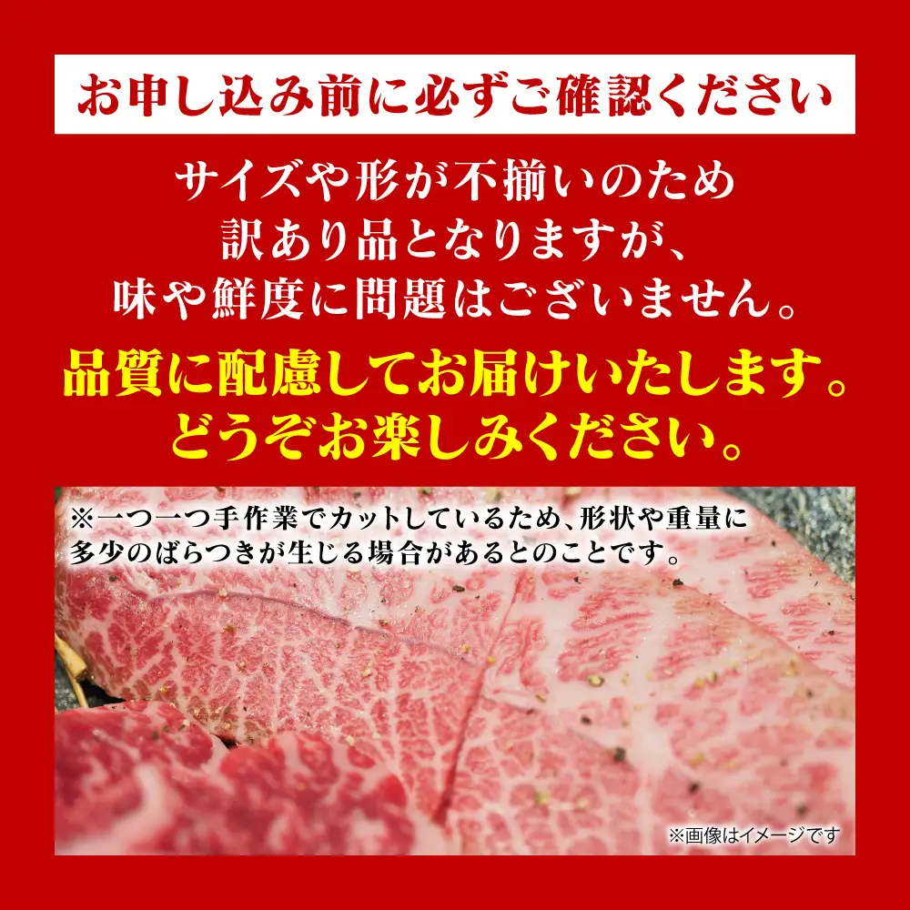 牛肉 【訳あり】 【厳選希少部位】 くまもと黒毛和牛 ミスジ ステーキ 約500g （約100g×5枚） A4～A5ランク 牛肉