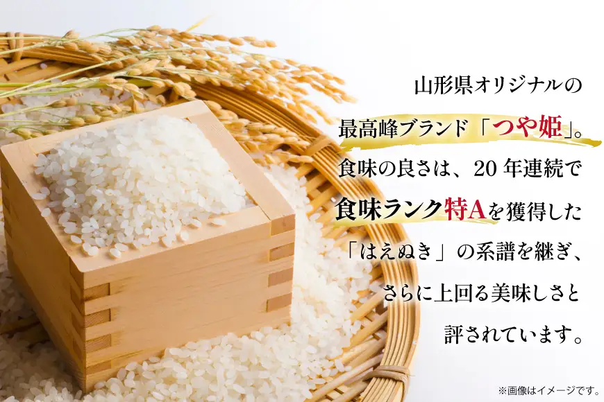 米 令和8年産 つや姫 白米 5kg