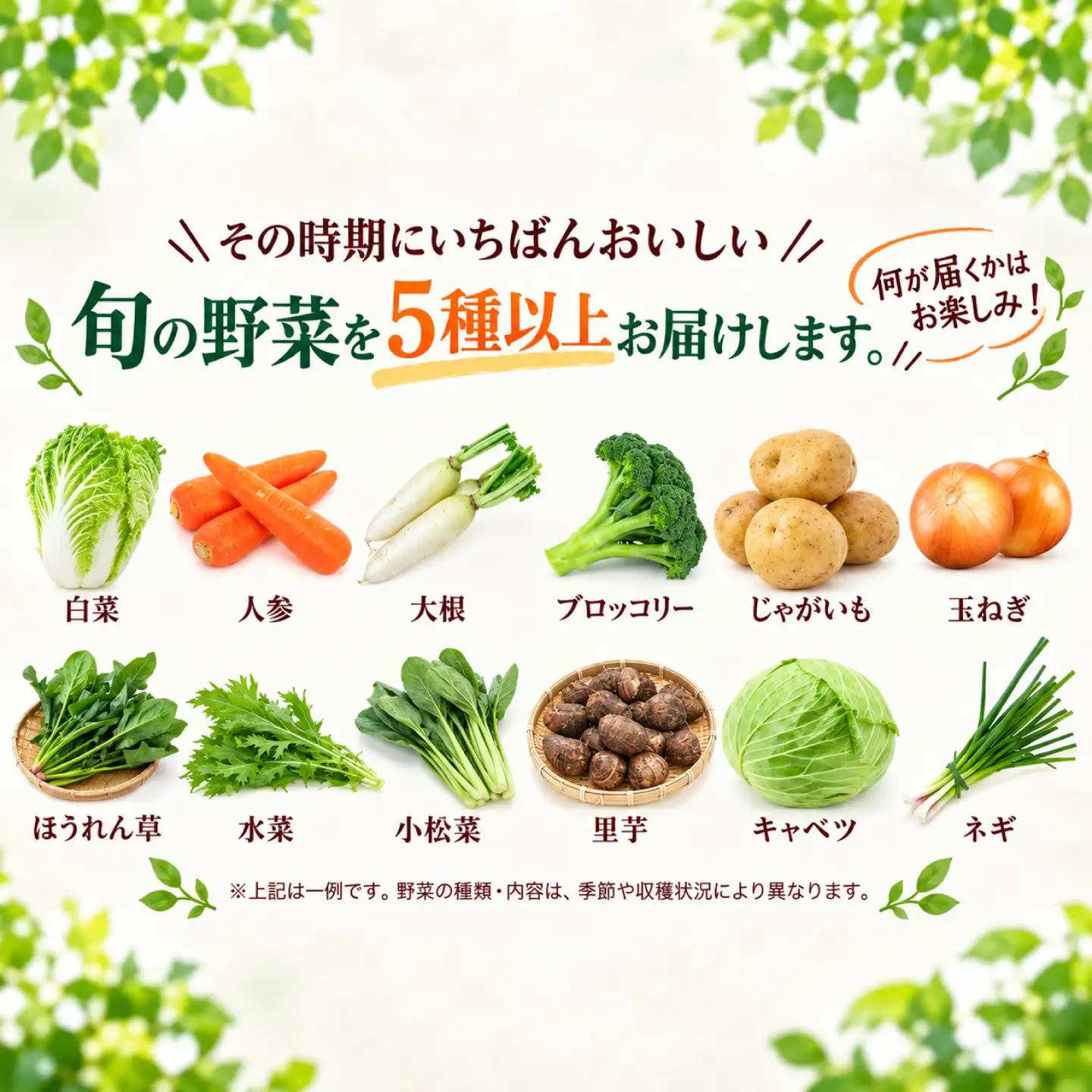 季節の野菜セット ／ 旬 野菜