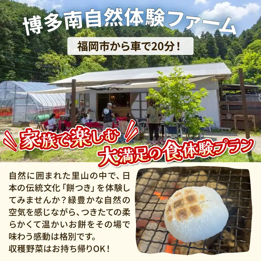 【年末年始特別プラン】餅つき＆野菜収穫体験（1組8名）