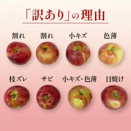 日本で最も美しい村ー信州高山村ー　旬のりんご約10kg入り【訳あり品】【1781810】