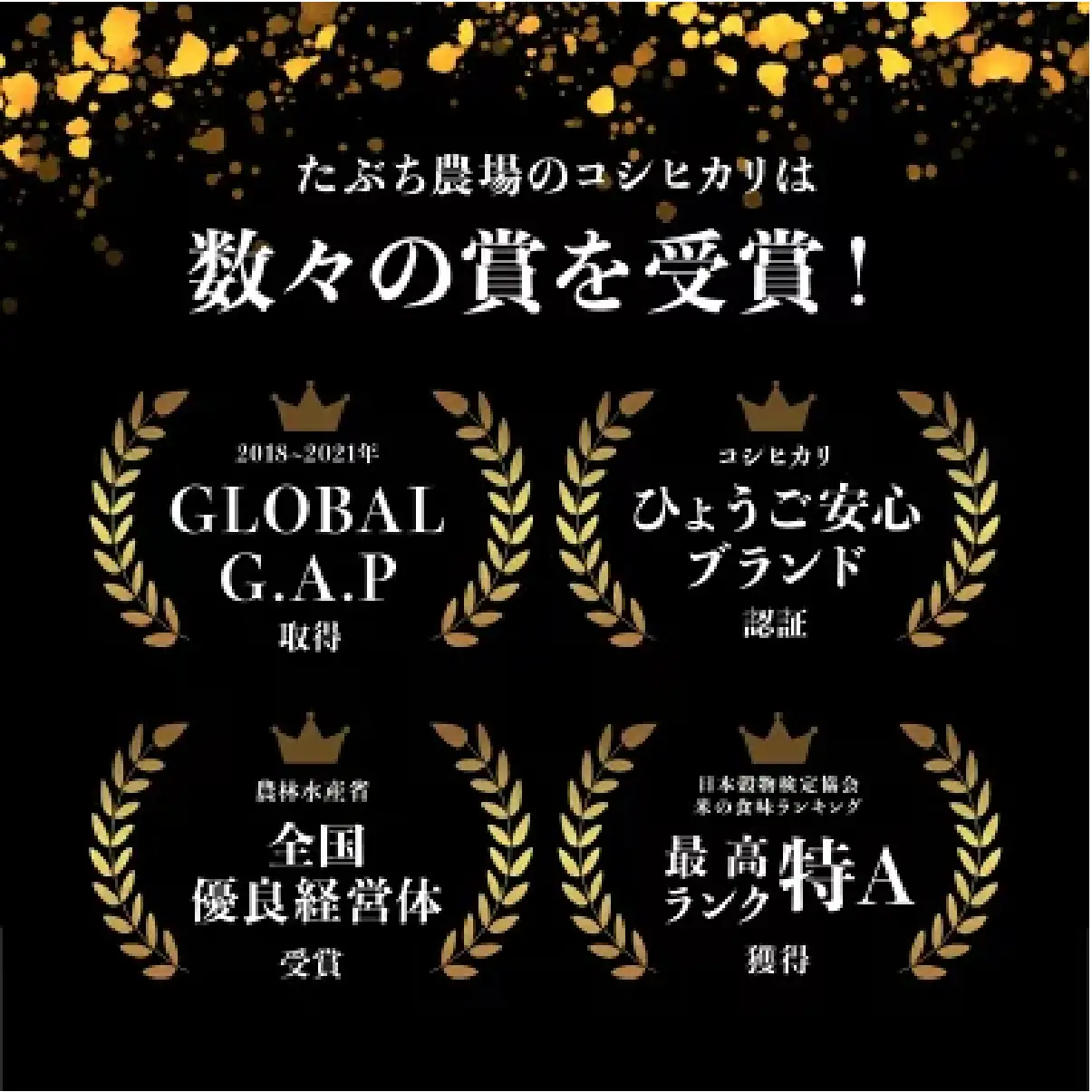 玄米 定期便 新米 丹波篠山産 特別栽培米コシヒカリ 30kg×6回 定期便 玄米