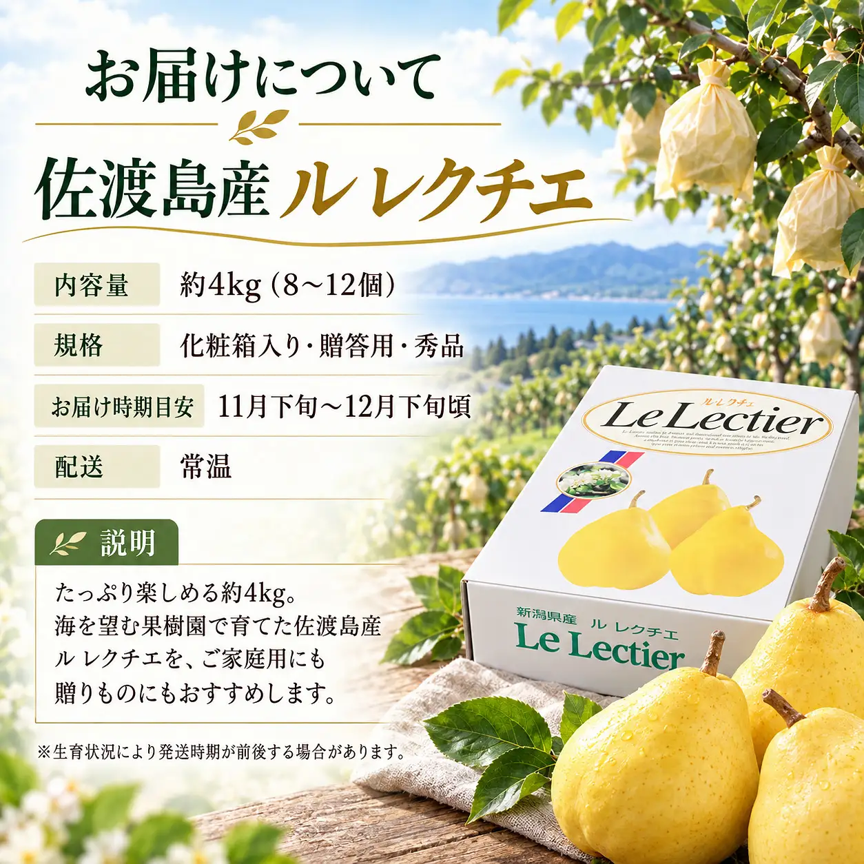【2026年12月上旬より順次発送】佐渡島産 ル レクチエ 約4kg（8～12個）化粧箱入り・贈答用・秀品
