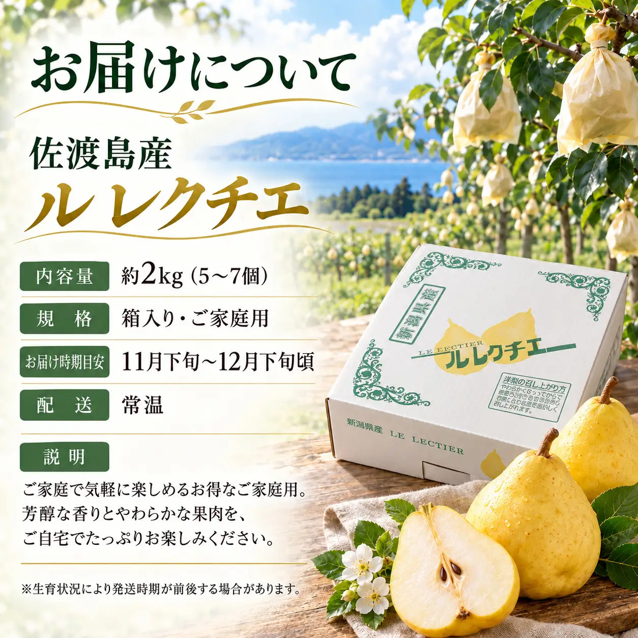 【2026年12月上旬より順次発送】佐渡島産 ル レクチエ 約2kg（5～7個）箱入り・ご家庭用