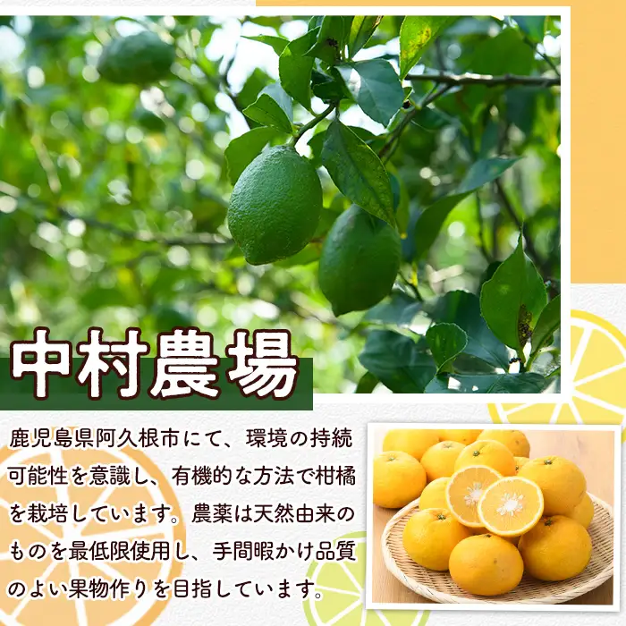 数量限定！有機JAS オーガニックレモン(約1kg) 国産 レモン 檸檬 果実 果物 フルーツ 柑橘 デザート 期間限定 有機栽培 健康志向 【中村農場】akn084-11