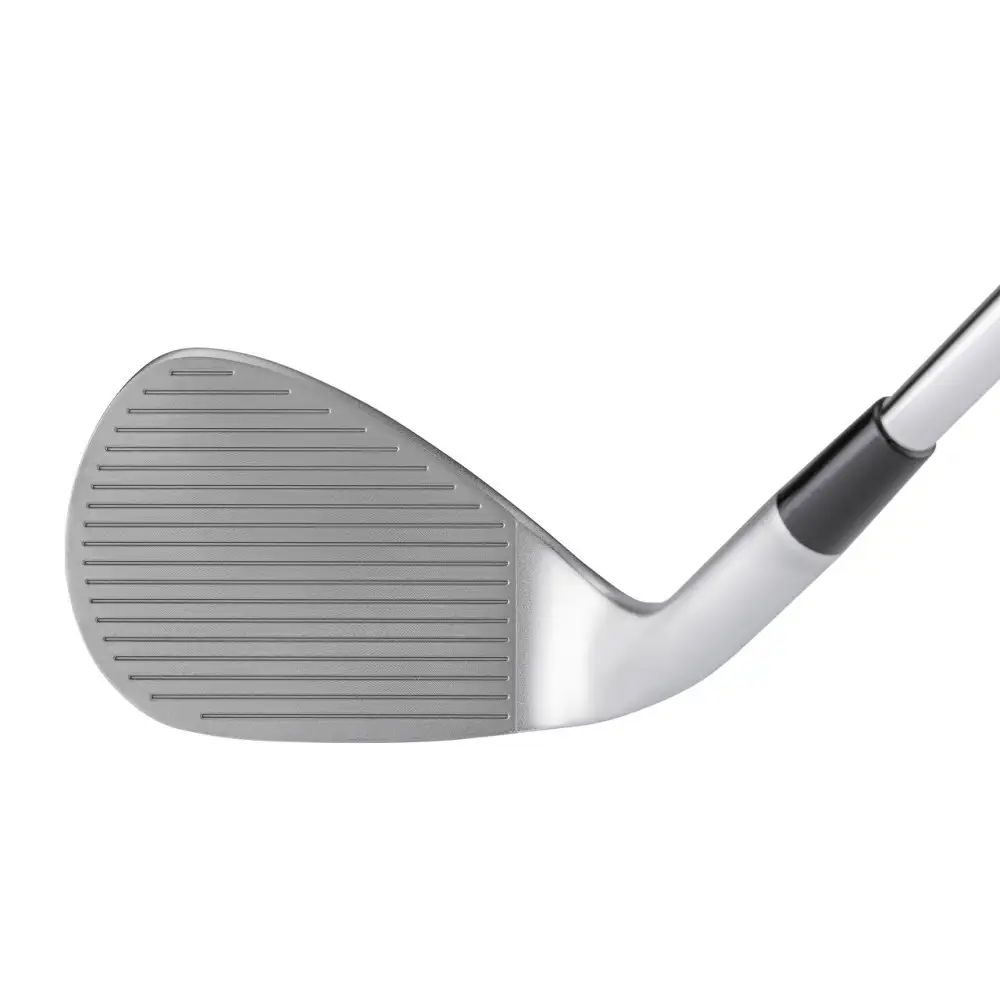 【56°】ゴルフクラブ ドルフィンウェッジ DW-125G メンズ ハイスピン フェース面ノーメッキ仕上げ カーボンシャフト ウェッジフレックスDolphin DP231 kasco キャスコ