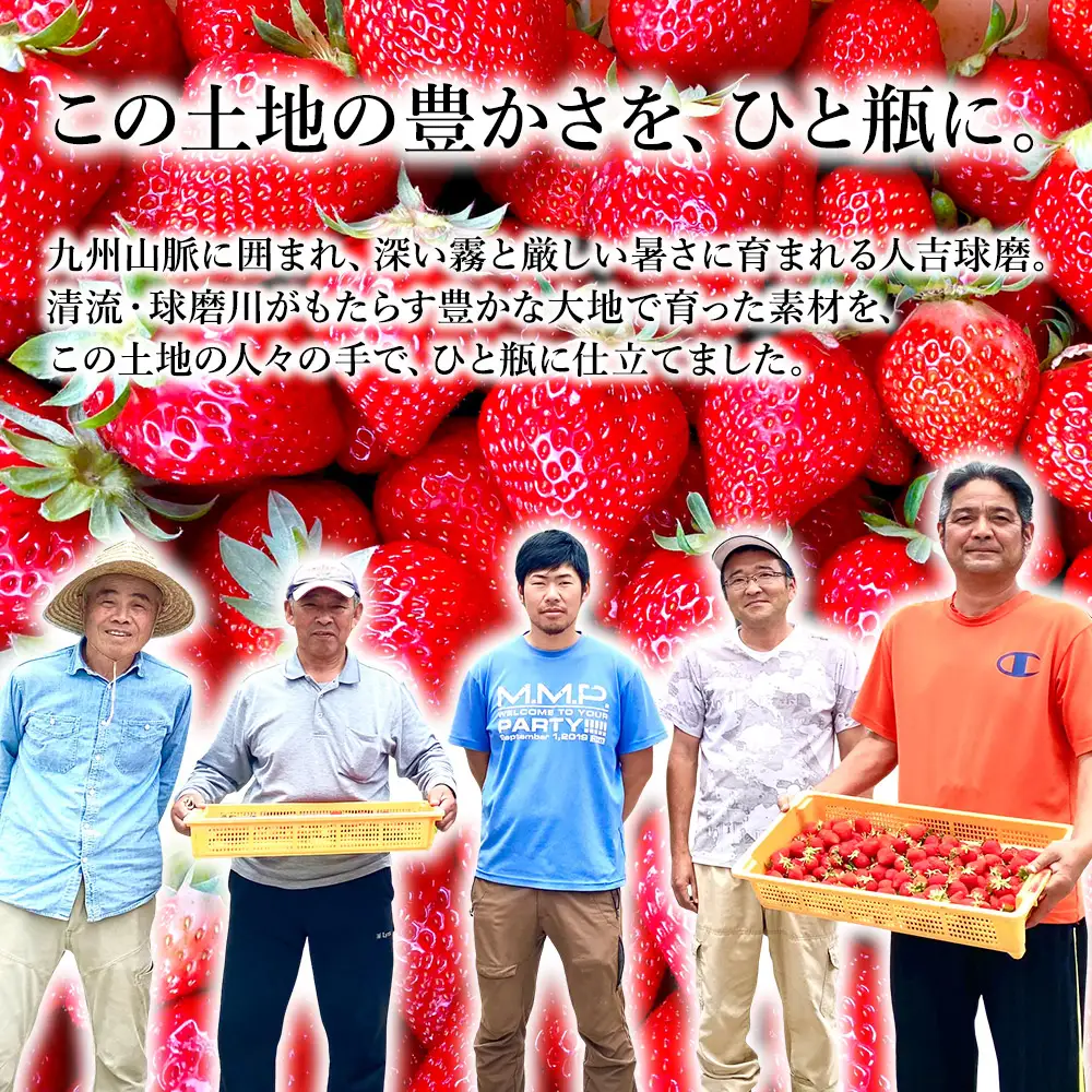 水上村で採れた 栗 と いちご のコンフィチュール 4種セット 110g×4本