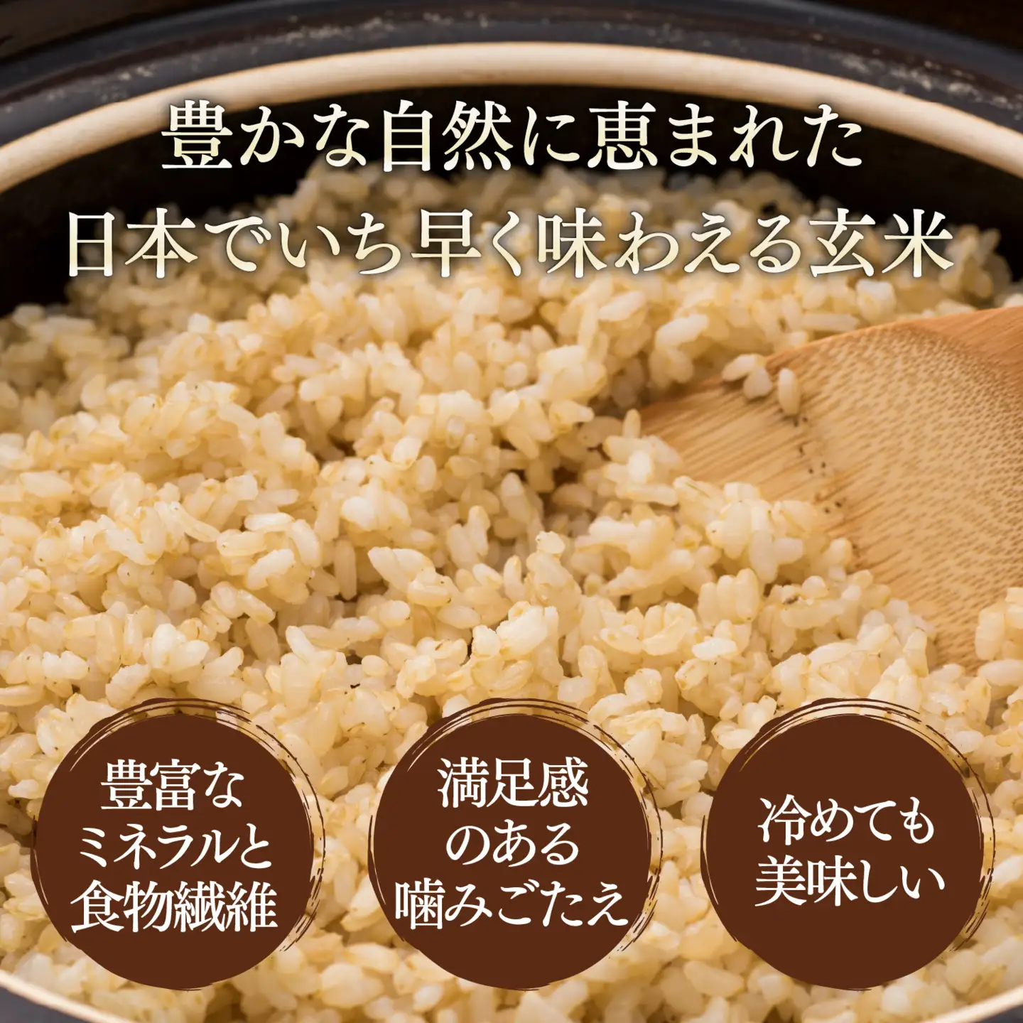 《令和8年産米 新米》 種子島産 玄米 コシヒカリ5kg 【新栄物産】