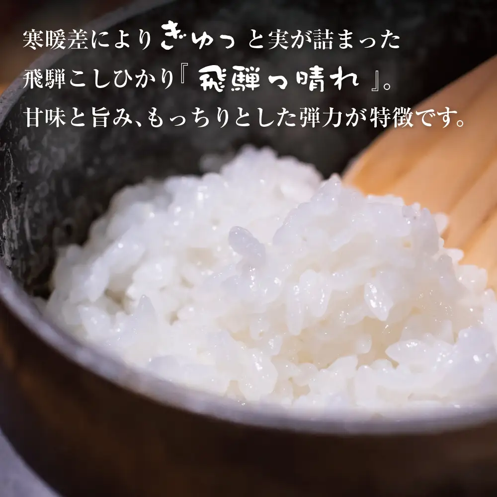【令和7年産】こしひかり飛騨っ晴れ 白米 20kg 生産者直送 お米 コシヒカリ 飛騨産 飛騨高山 アグリランド  JF009