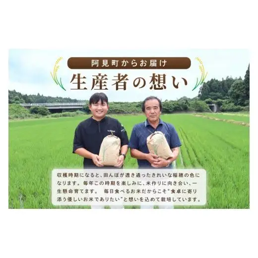 米 あきたこまち 精米 10kg 令和8年産 茨城県産 お米 こめ コメ ごはん 白米 アキタコマチ 茨城県産米 単一米 単一原料米 安心 安全 送料無料 国産 人気 数量限定 （85-R8i145_03）