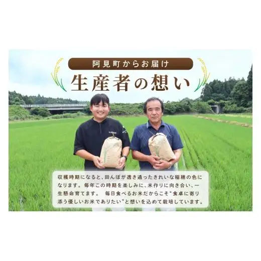 米 ミルキークイーン 精米 10kg 令和8年産 茨城県産 お米 こめ コメ ごはん 白米 みるきーくいーん 茨城県産米 単一米 単一原料米 送料無料 国産 数量限定（85-R8i265-05）