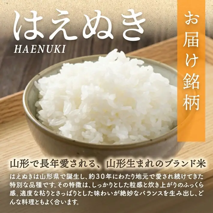 (令和8年12月中旬お届け)はえぬき 5kg 令和8年産米 山形県遊佐町産 ご希望時期頃お届け 東北 山形県 遊佐町 庄内地方 米 お米 精米 白米 庄内米 ブランド米 ご飯 ごはん[1734R08M12b] 