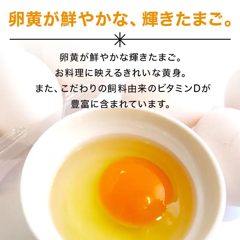 3か月定期 てるたま 10個入×11パック（割れ保障1パックサービス）てるたま 新鮮 鶏卵 玉子 卵かけご飯 卵かけごはん たまごかけご飯 卵焼き たまご焼き 玉子焼き 目玉焼き ゆで卵 栄養 22-K