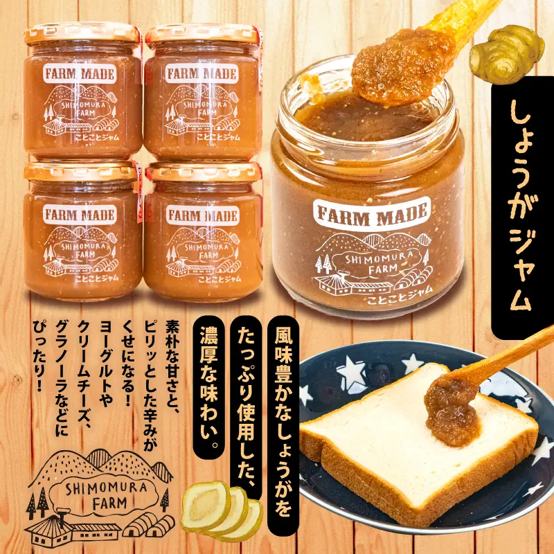 ブルーベリー ジャム しょうが ジャム 200g 4個 【 ジャム 】