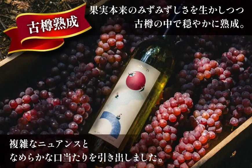 ワイン 白 why'n デラウェア 2025 750mL 1本