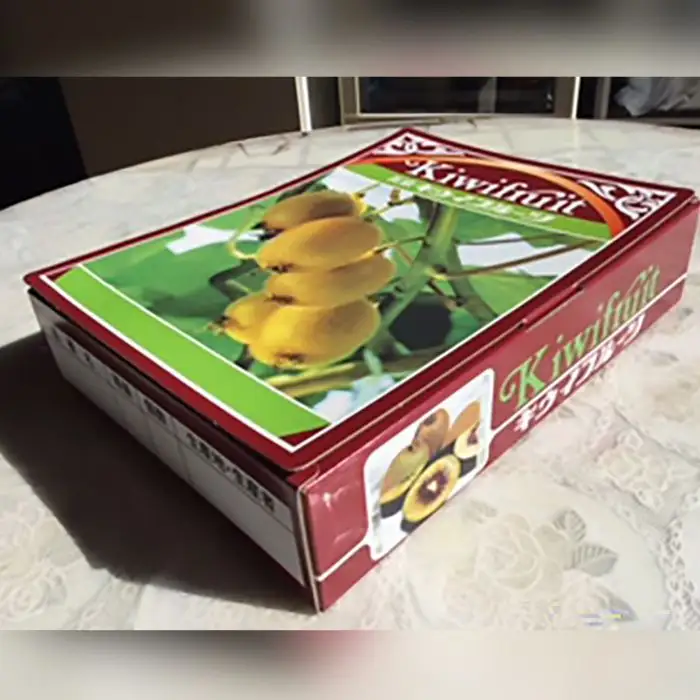 レッドキウイ サイズ不揃い 約1kg 11個～17個 レッドキウイ