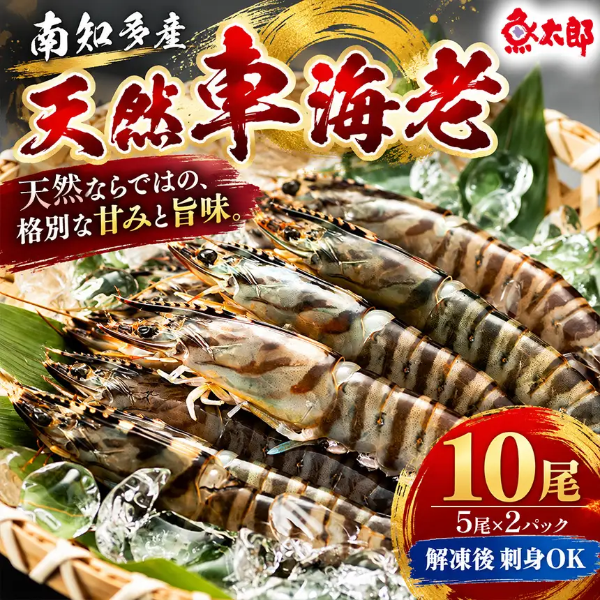 【美浜町・南知多町共通返礼品】南知多産 天然車海老 10尾 解凍後刺身OK ※プロトン凍結　塩焼き+エビフライにおすすめ やっぱり天然物は甘み・旨味が格段に違う！