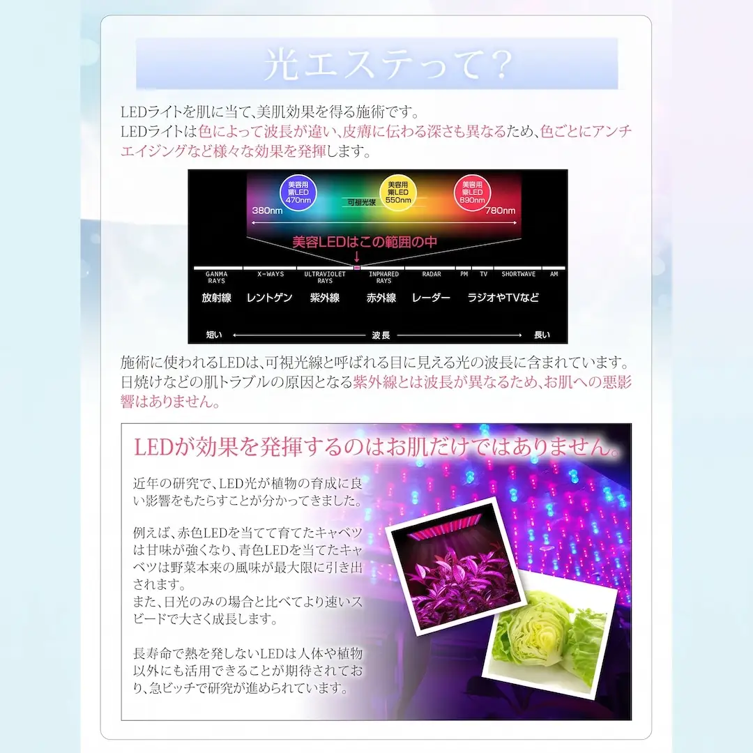 【ギフト対応可】美ルル ヒカリミニ フォトフェイシャル 美顔器 LED 美顔器 光美顔器ニキビ ケア 