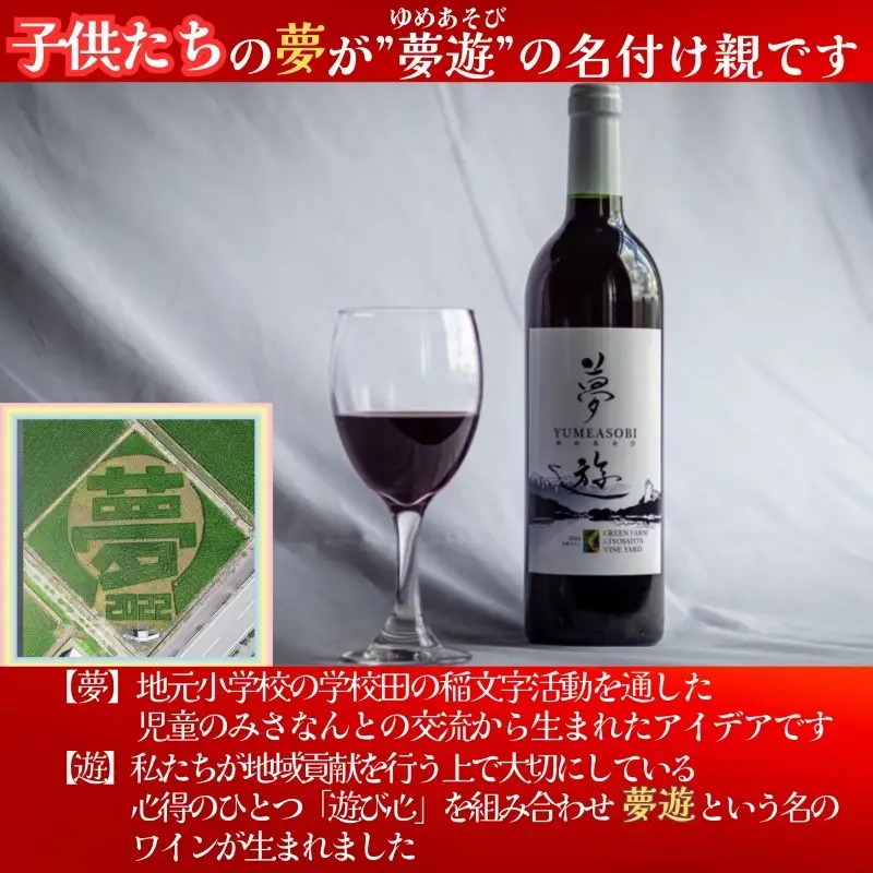 新潟県産 ワイン 清里夢遊（きよさとゆめあそび）【赤】 750ml 希少 限定 上越市産マスカット・ベーリーＡ100％使用 お酒 国産 上越市 グリーンファーム清里 